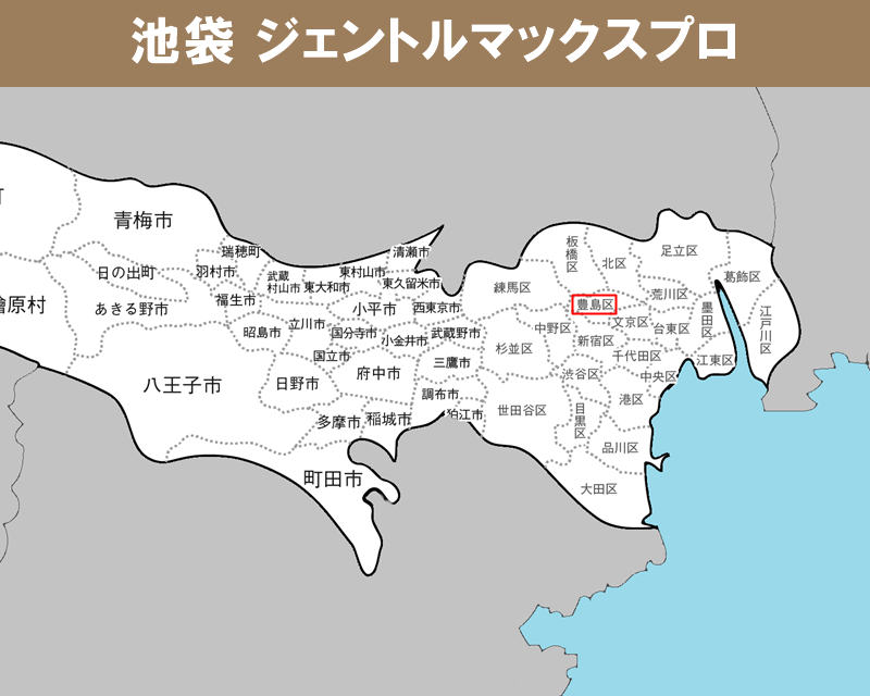 東京都の白地図 　豊島区に赤枠