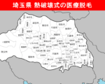 埼玉県の白地図