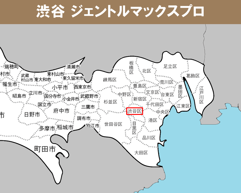 東京都の白地図 　渋谷に赤枠