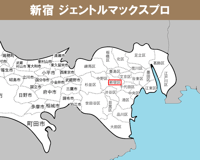 東京都の白地図 　新宿に赤枠