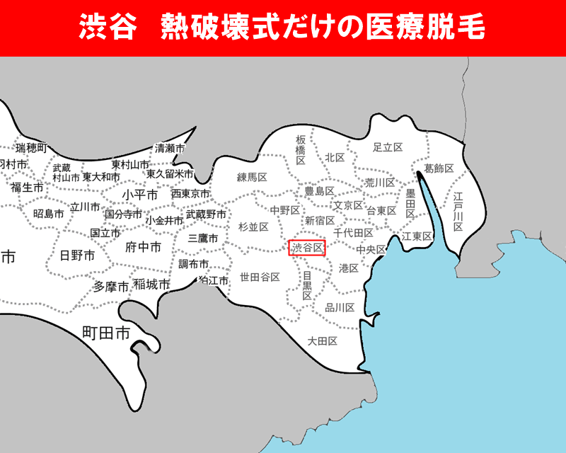 東京都の白地図　渋谷区に赤枠
