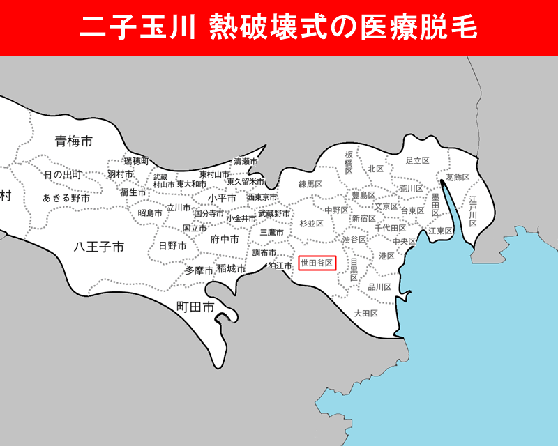 東京都の白地図　世田谷区（二子玉川）に赤枠