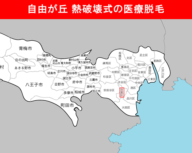 東京都の白地図　目黒区（自由が丘）に赤枠