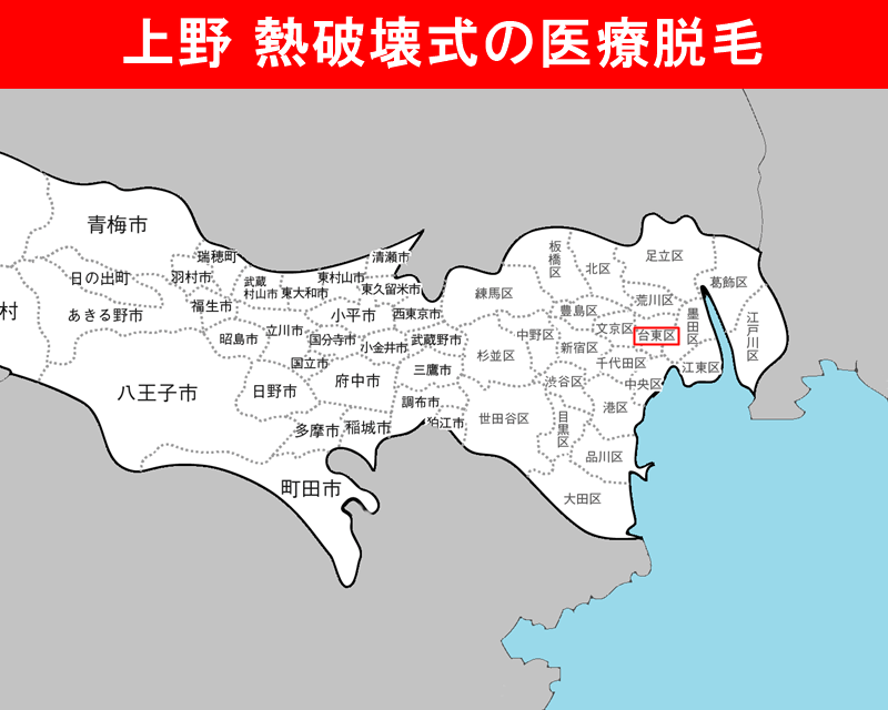 東京都の白地図　台東区（上野）に赤枠