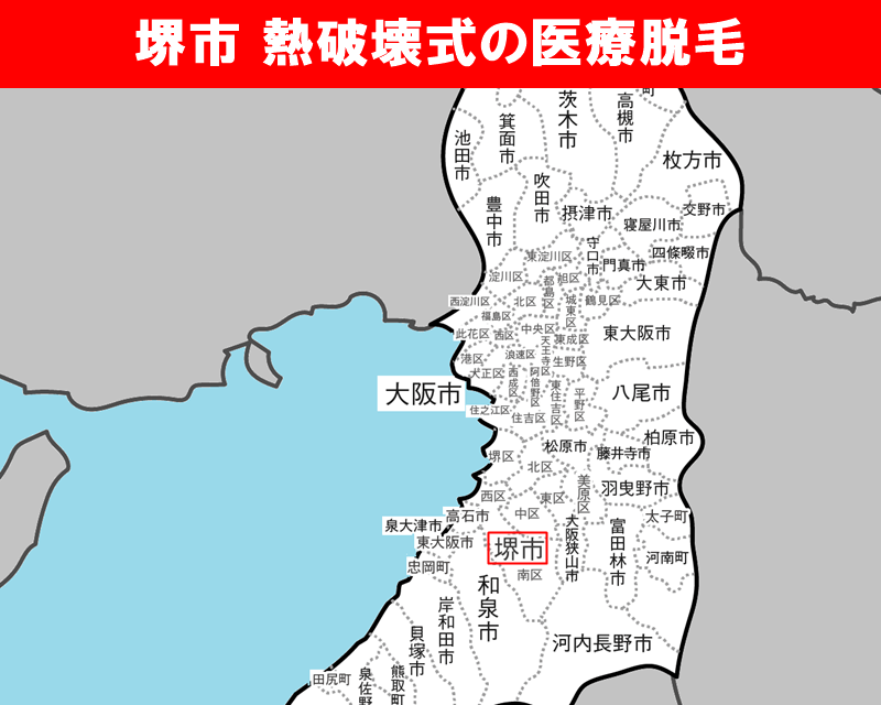 大阪府の白地図　堺市に赤枠