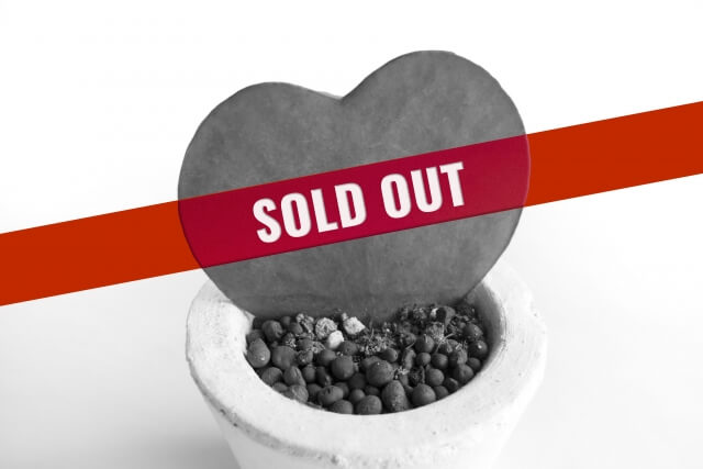 SOLD OUT イメージ写真